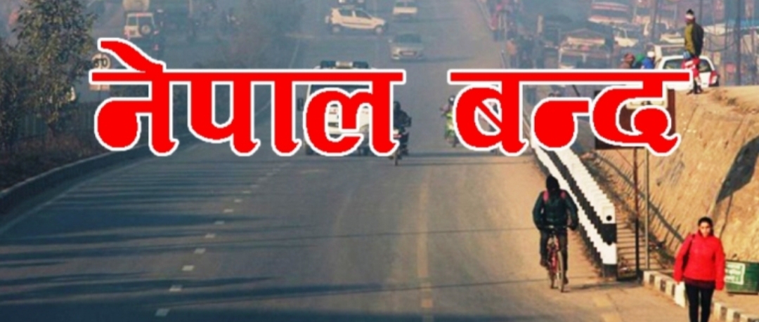 Websoft IT Nepal Pvt. Ltd.