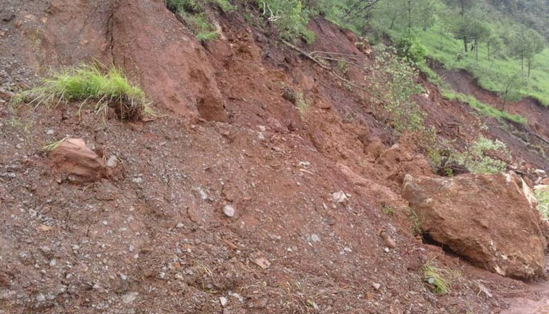 सिसुवा पहिरोमा चारको जीवितै उद्धार