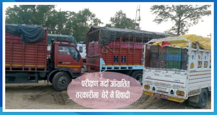 भारतबाट आउने तरकारी घट्यो,  देशमै उत्पादित तरकारीले बजार पाउन थाल्यो