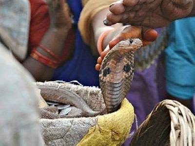 १२५ वर्षपछि आज सोमबारको दिन परेको छ नागपंचमी, यो मन्त्र उच्चारण गर्दा हुनेछ फलदायी