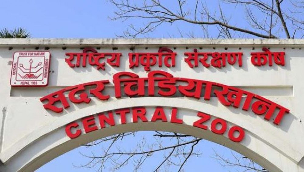 भोलिदेखि चिडियाखाना पनि बन्द