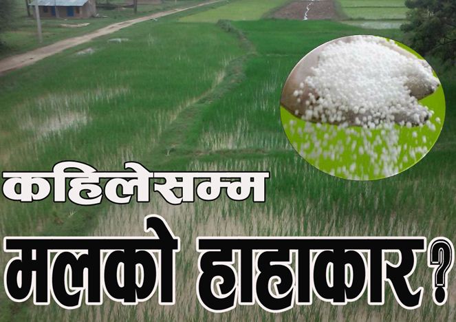 Websoft IT Nepal Pvt. Ltd.