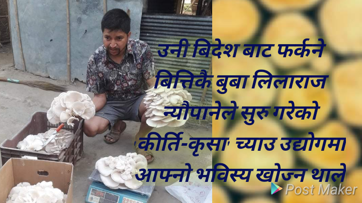 यी पौरखी युवा जसले विदेशको मोह त्यागेर आफ्नै देशमा अवसर फूलाए