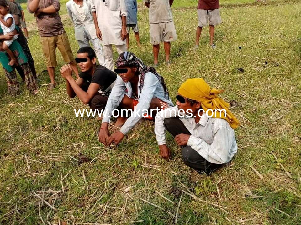 झापामा गोरु काटेर खाने तीनजना पक्राउ