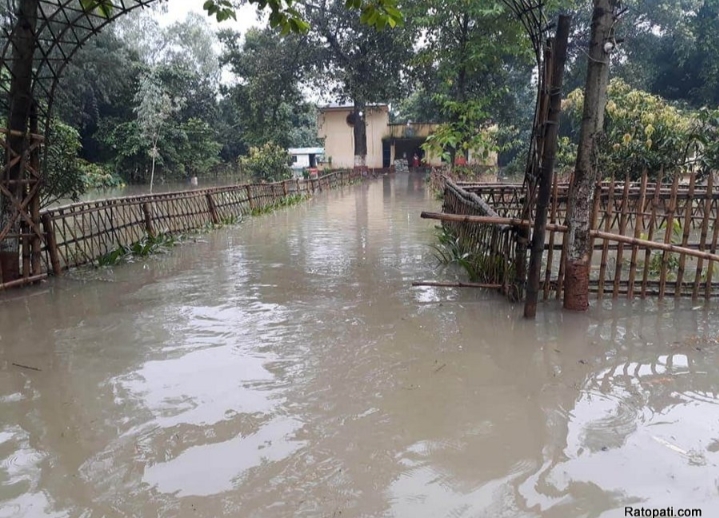 बाढी पहिरोमा परी घाइते भएकाको उपचारको सम्पूर्ण व्यवस्था सरकारले गर्ने