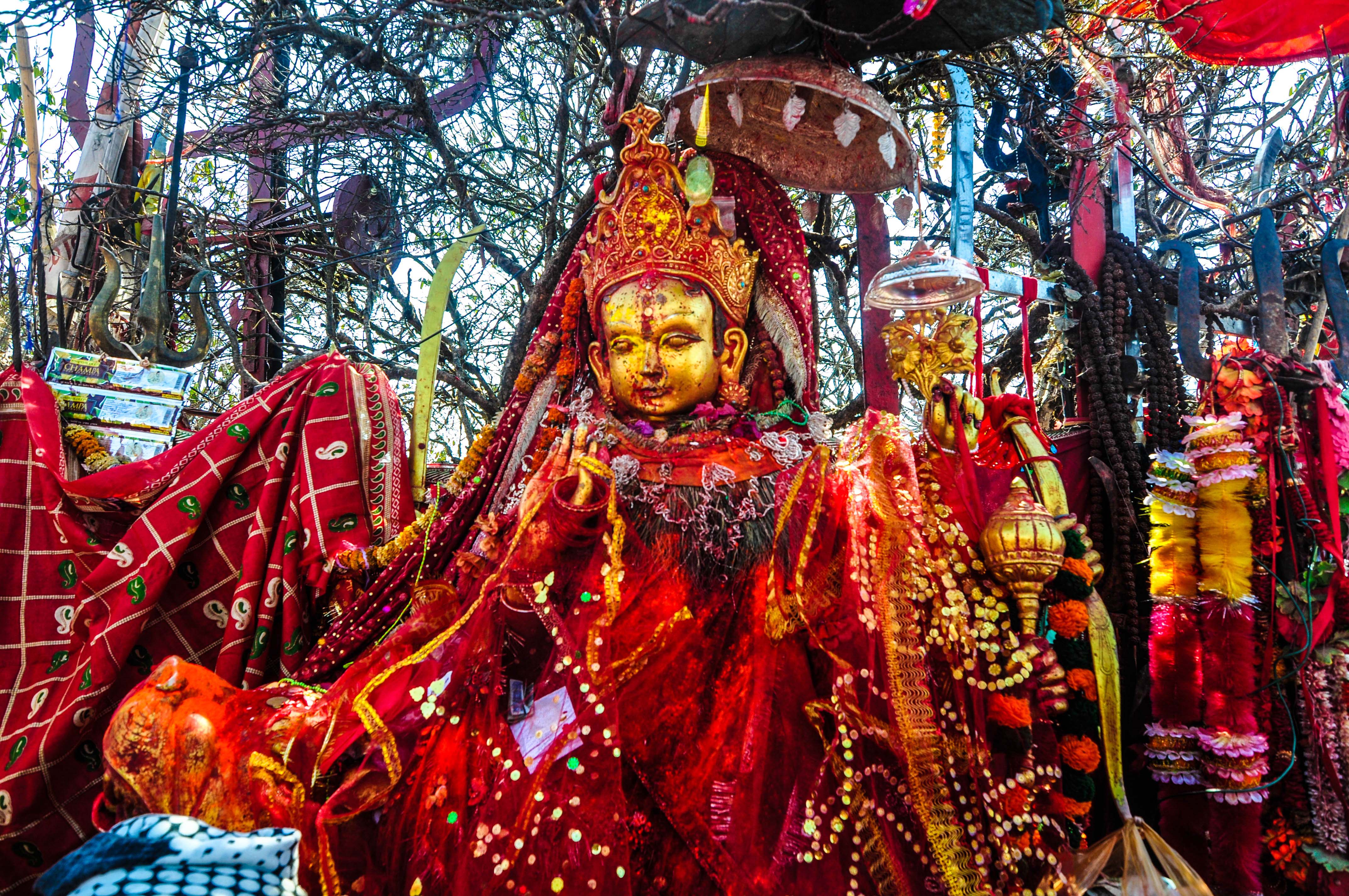 आज असार २५ गते बिहीबार , हेर्नुस् आजको राशिफल