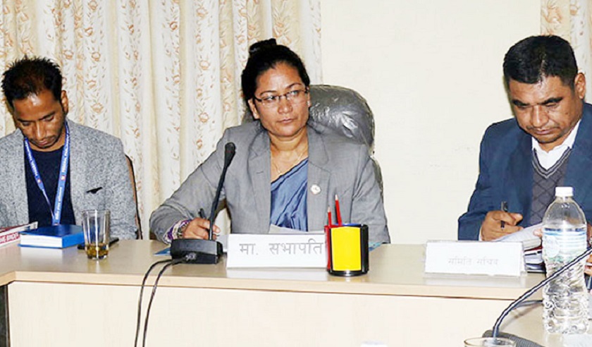 प्रसूति बिदाको अधिकार कार्यान्वयन गर्न सरकारलाई निर्देशन