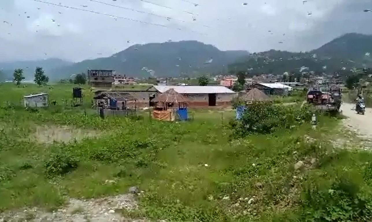 प्युठानमा पुनः देखियो सलह किरा