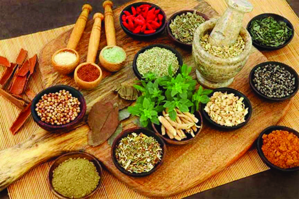 कोरोनाको आयुर्वेदिक ओैषधिको अनुसन्धान