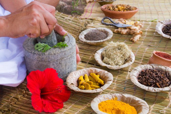 आयुर्वेदिक सेवामा आकर्षण