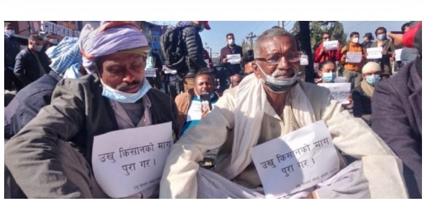 राजनीतिक घटनाक्रमले उखु किसानको मुद्दा छायाँमा