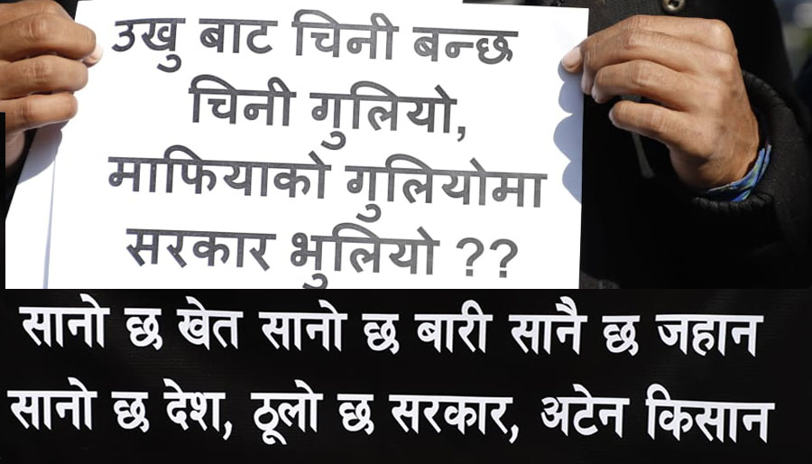 माइतीघरमा उखु किसानको आन्दोलन