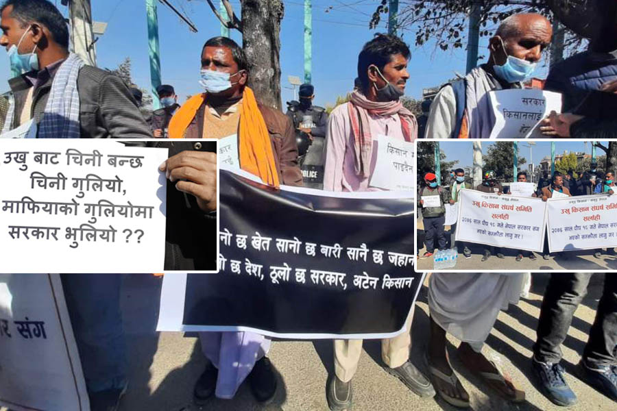 लुम्बिनी चिनी मिलका सञ्चालक पक्राउ