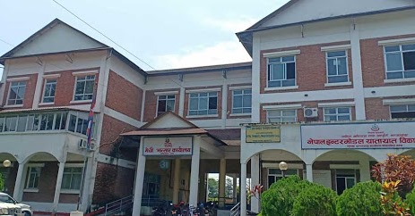 अर्धवार्षिक कृषि उपजका निकासी: बढ्यो अलैँची र चिया, अदुवा स्थिर