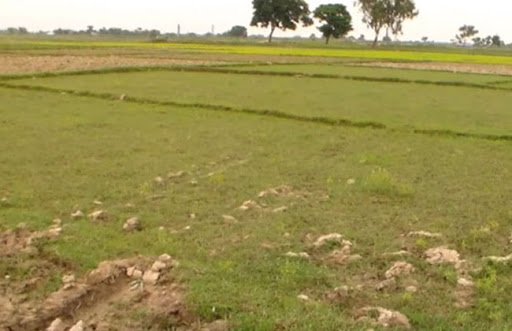 अर्बौं मूल्यको ३ सय ४८ बिघा सरकारी जग्गामा भूमाफियाको रजाइँ