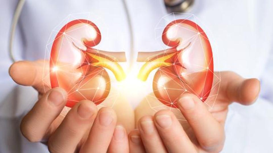 आज विश्व मृगौला दिवस : यस्ता लक्षण देखिए तुरुन्त डाक्टरको परामर्श लिनुहोस