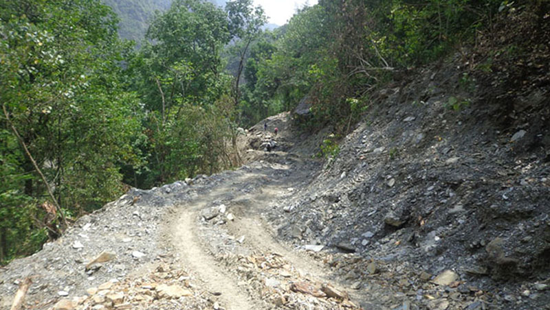 विकास निर्माणमा युवाको सक्रियता