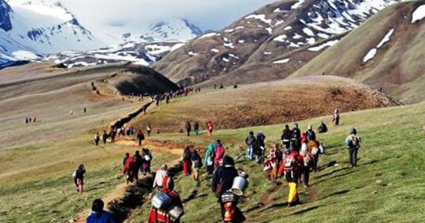 हिमाली क्षेत्रको जनताका लागि काल बन्दै यार्सागुम्बा