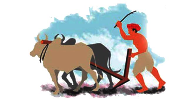 पाँच उत्कृष्ट किसान पुरस्कृत