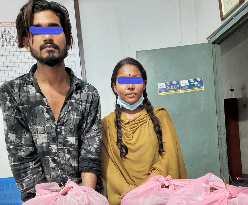 गाँजासहित दुई जनालाई पक्राउ