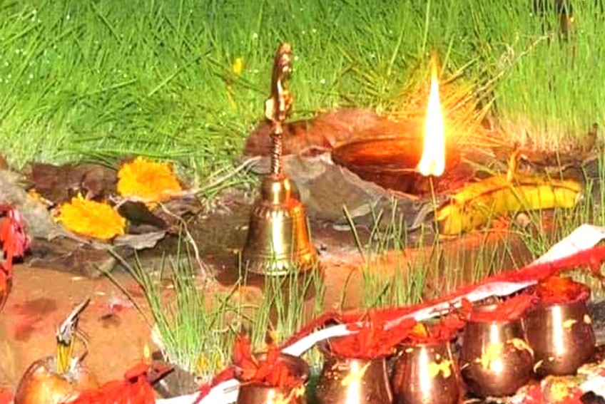 आज फुलपाती , घर घरमा फुलपाती भित्र्याइँदै