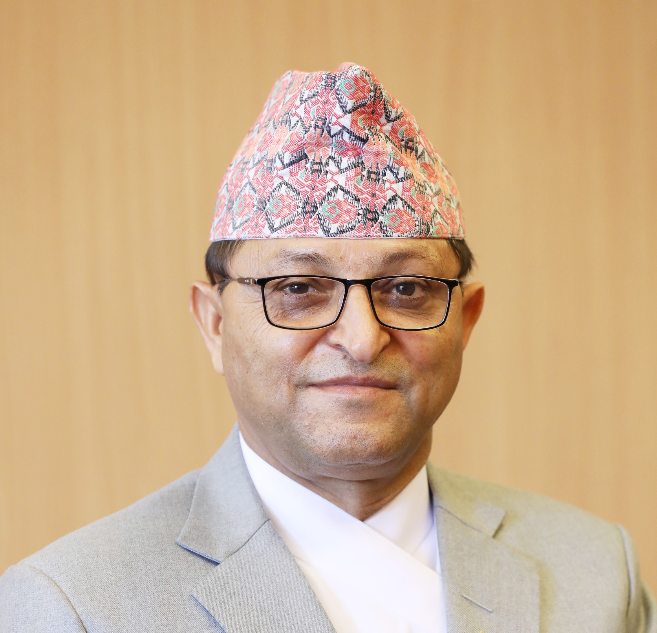 एनआरएनएलाई कुनै दलको भ्रातृ सङ्गठन बनाउन हुँदैन– अध्यक्ष तिमिल्सिना