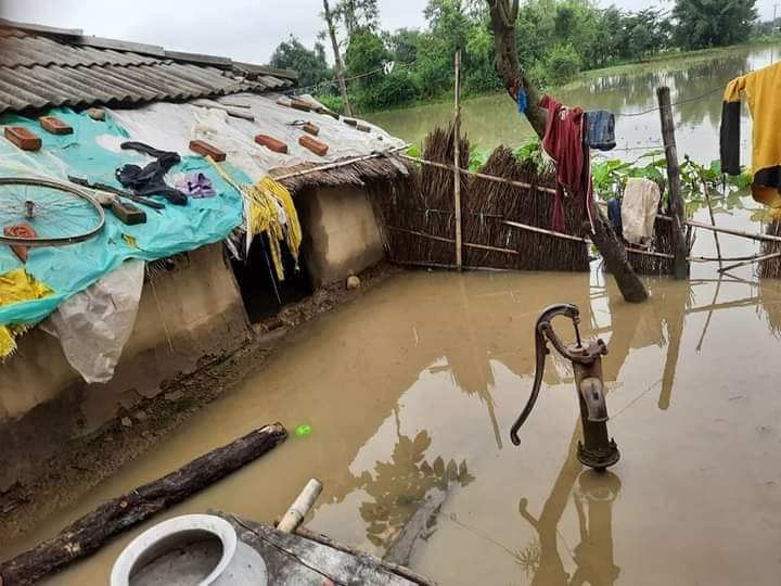 डुबानका घर सरसफाइ गरिँदै, अजिङ्गर र सर्पको डर