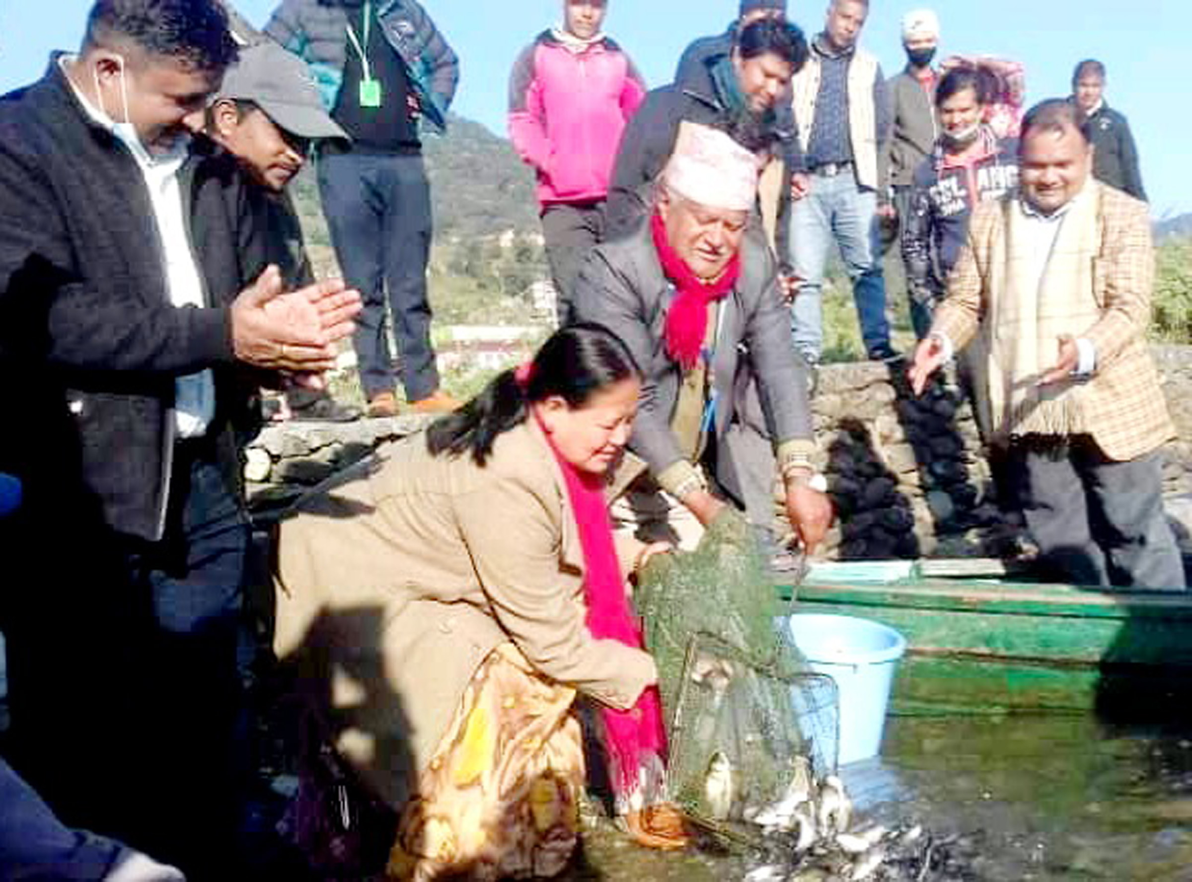 फेवातालमा माछाका भुरा छाडियो