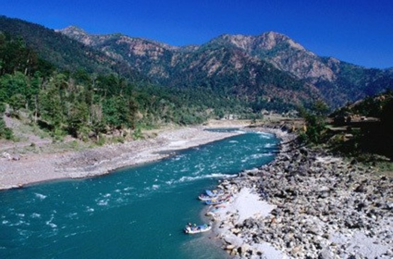 कालीगण्डकीमा ३१ हजार माछाका भुरा छाडियो
