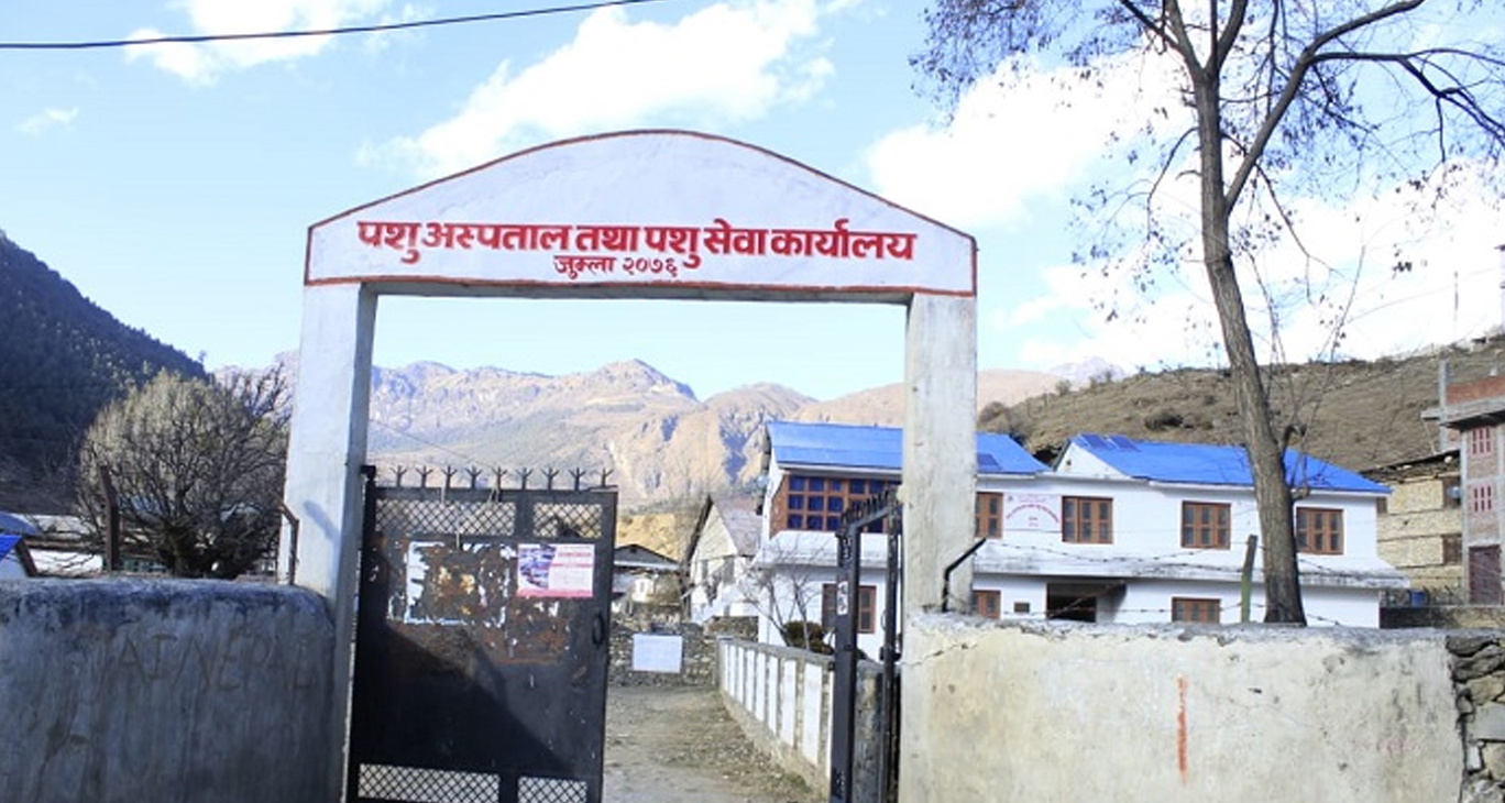 जुम्लामा गोठालो भत्ताका लागि २ सय ६५ किसानले आवेदन