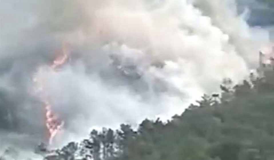 चीनमा दुर्घटनाग्रस्त विमानमा सवार १३२ जनाकै मृत्यु भएको पुष्टि