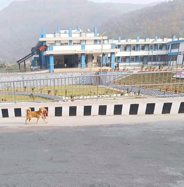 कुकुरले शिशुको शव ल्याएको विषयमा अनुसन्धान गर्न अस्पतालको अनुरोध