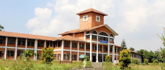 त्रिविमा ३ महिनादेखि तालाबन्दी : पछाडिको ढोकाबाट जान्छन् कर्मचारी