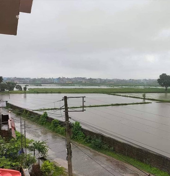 डुबानका कारण इटहरीका विद्यालय बन्द