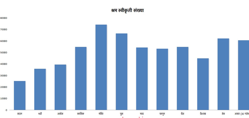 Websoft IT Nepal Pvt. Ltd.