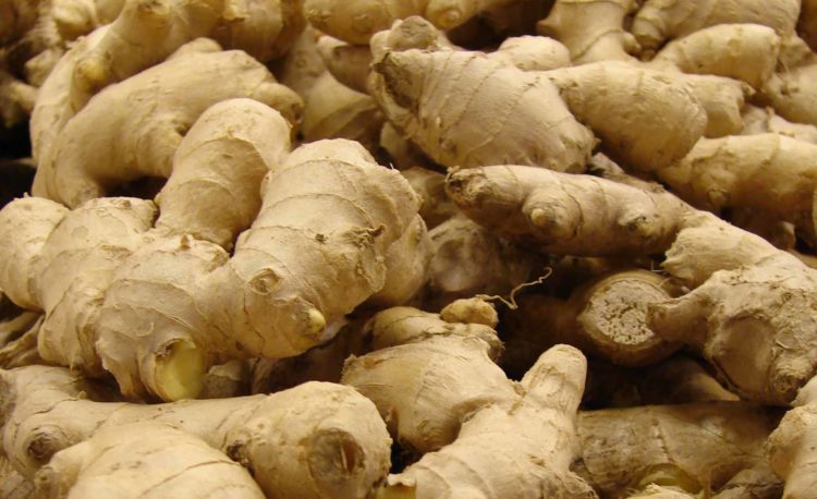 अदुवाले बजार नपाउँदा लमजुङका किसान चिन्तित