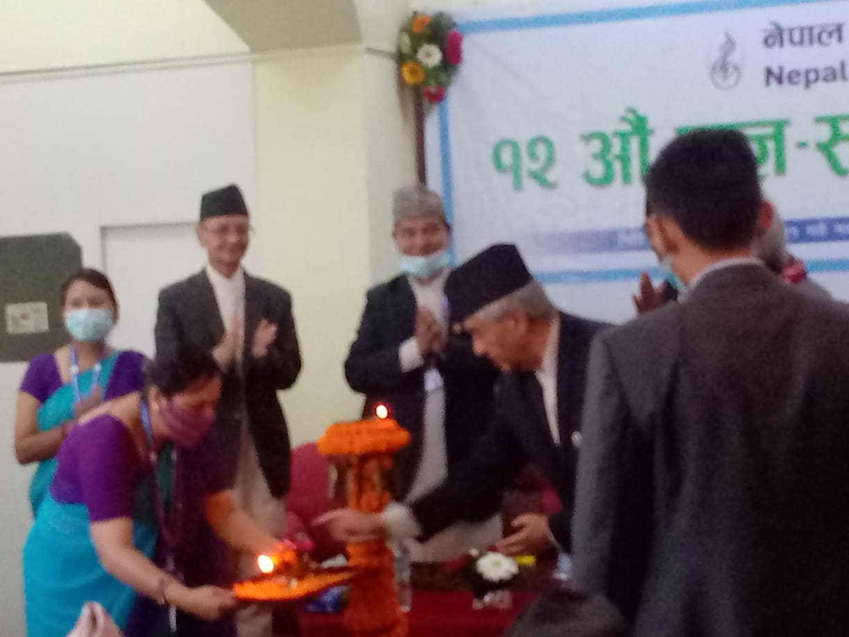 Websoft IT Nepal Pvt. Ltd.