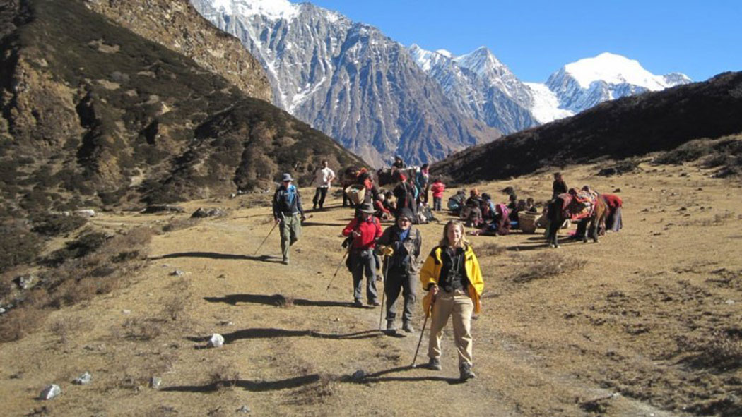 Websoft IT Nepal Pvt. Ltd.