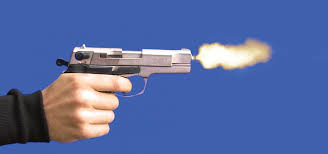 Websoft IT Nepal Pvt. Ltd.